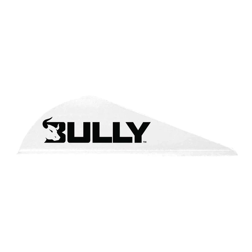 Easton 2" Bully Vanes by Bohning - 100 Pack - Image 5