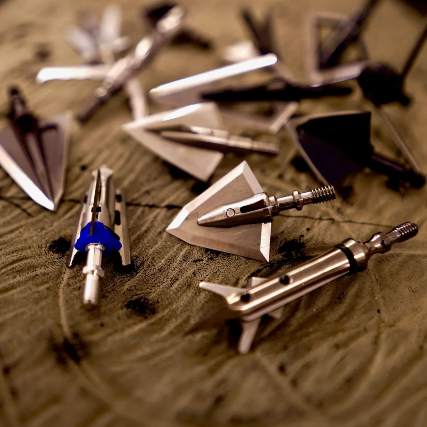 Broadheads And Points