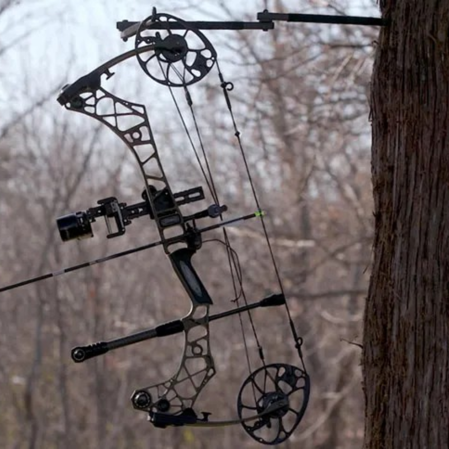 Compound Hunting Bow