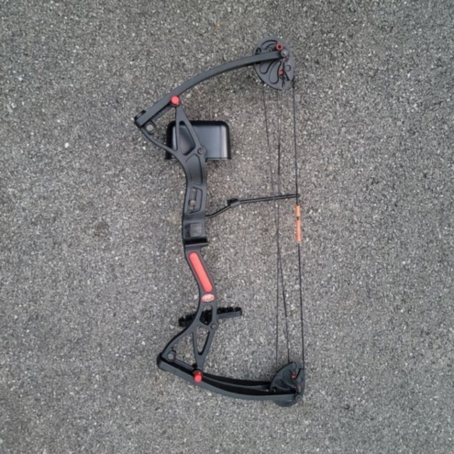 Youth Bows