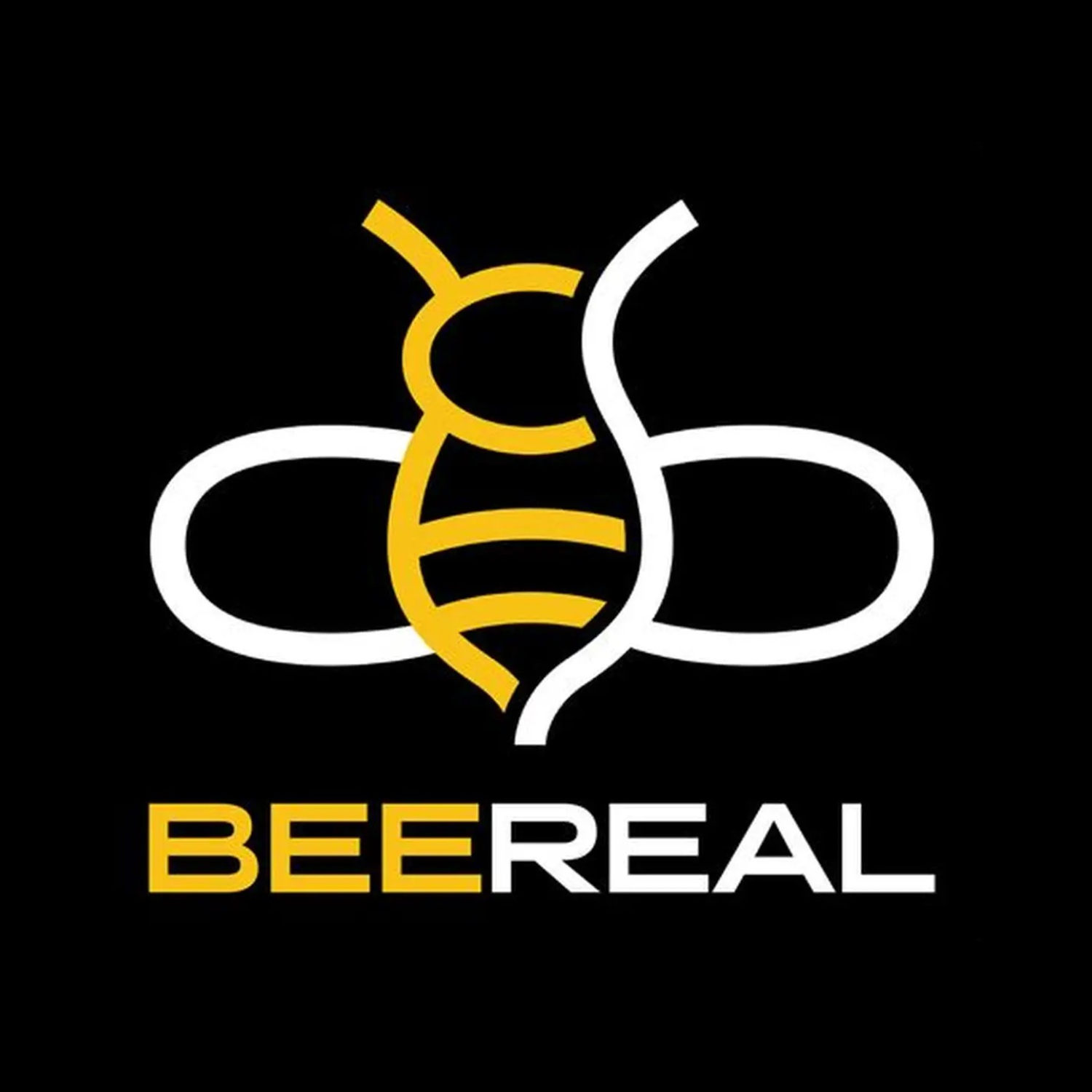 BeeReal Custom